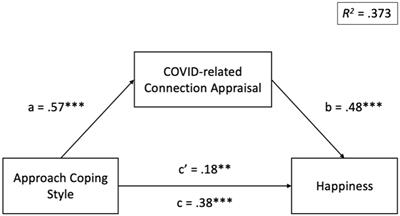 Coping, connection appraisal, and well-being during COVID-19 in the U.S., Japan, and Mexico